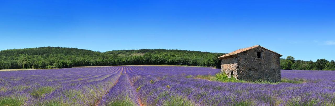 Apartmán Nos Jours Heureux Barjac  Exteriér fotografie
